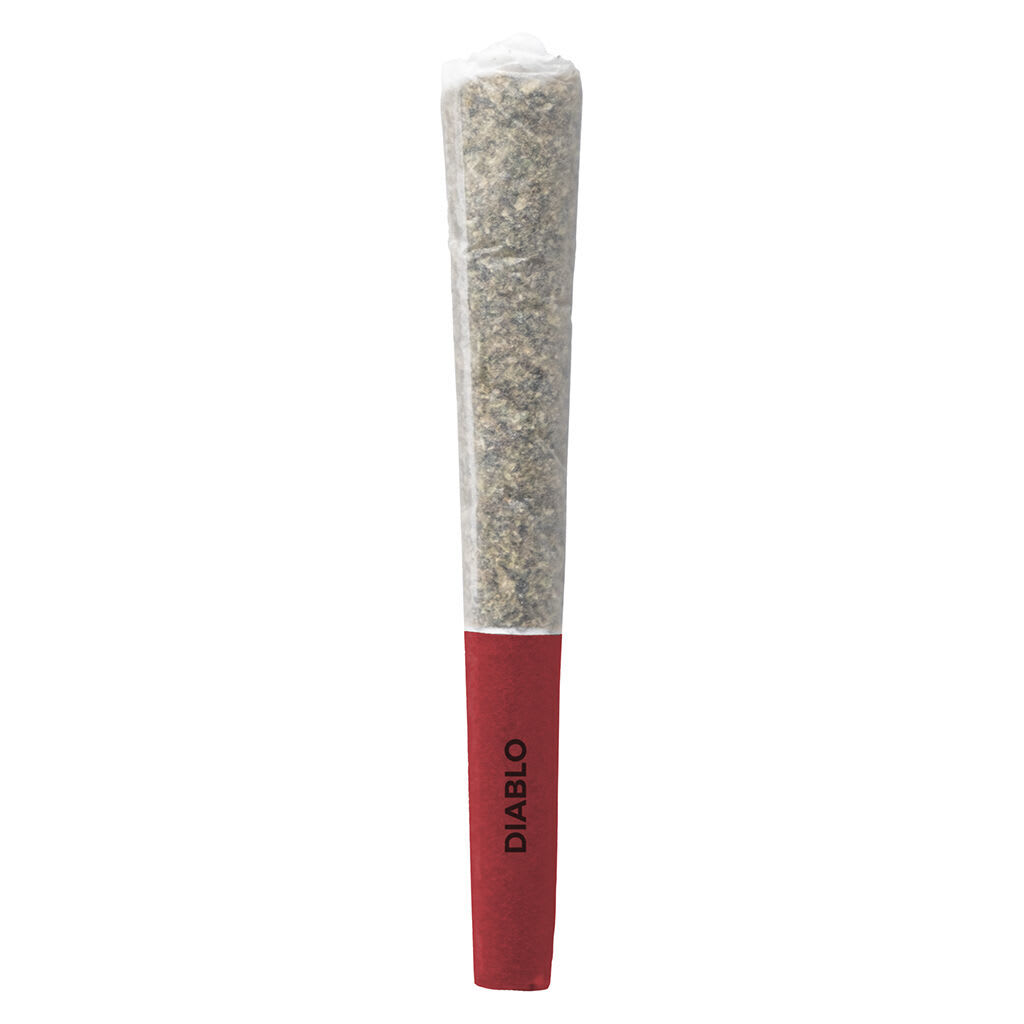 Pistol and Paris - Diablo - Indica  -3x0.5g