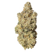 Blanh (Black Cherry Soda) Sativa 3.5g Dried Flower