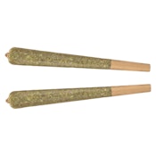 Fuego - Blue Venom Distillate Infused Pre-Roll 2x1g Distillates