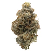 Atomic Marker 7g Dried Flower