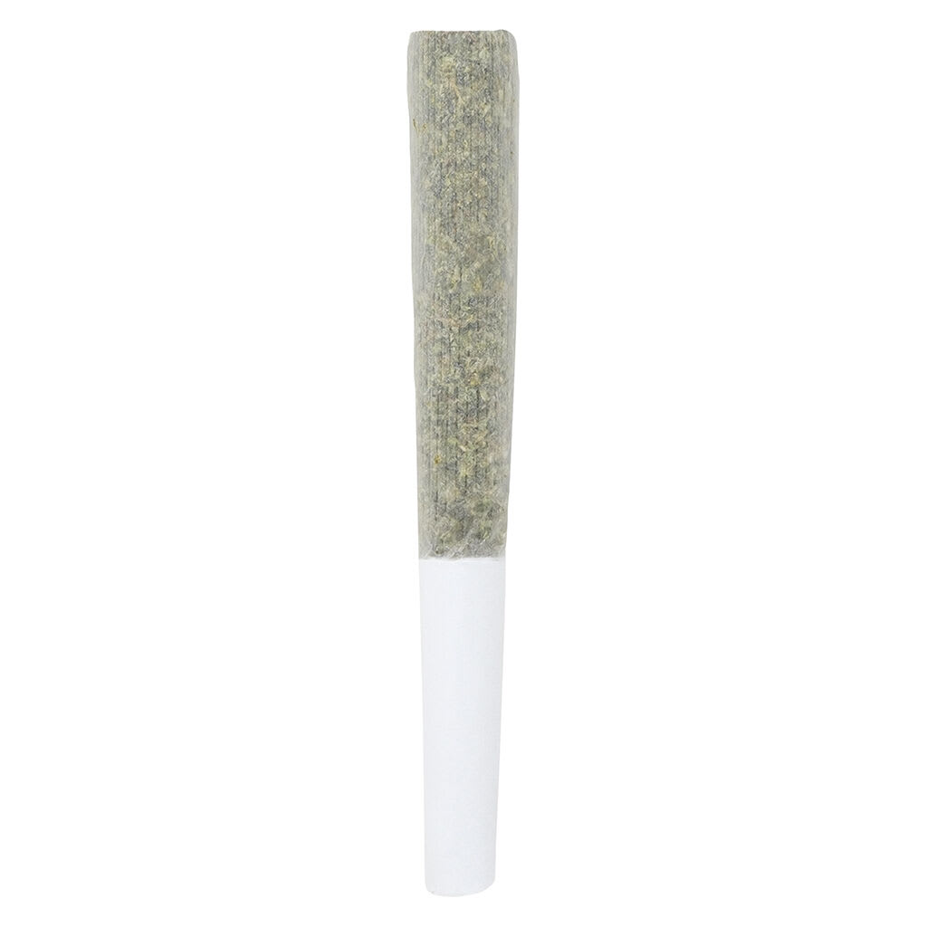 Michigan Melonz Pre-Rolls | 7x0.5g