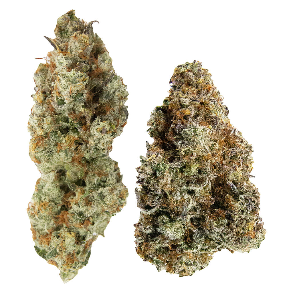 Yin Yang Pack (Sticky Glove & Chocolope OG)