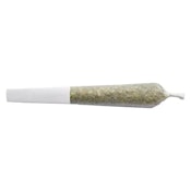 2x0.5g