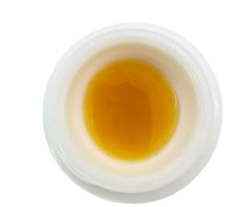 Wildcard Extracts - Wildcard Extracts - Forbidden Pie Live Resin 1g - Concentrates