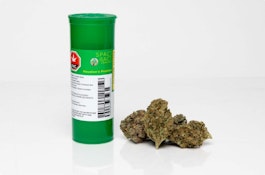 Space Race Cannabis | Houston's Problem Sativa | 7g Flower
