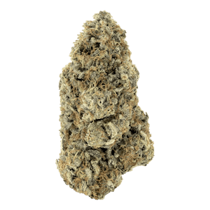 Woody Nelson - Woody Nelson Zainbow Mantz