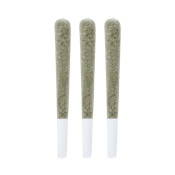 Banana Puddintain (0.5g x 3PR) - Battle River Bud