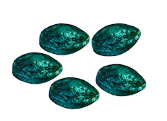 Blue Dream (5 Feminized Seeds) - Bag Seed Co.