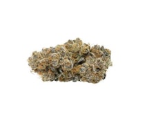 Jolly Boys | Royal Sherb | 7 g