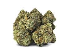 Smoker Farms - Master Kush Ultra 7g (B2)