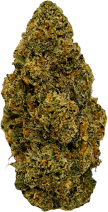 Unit 15 - Unit 15 - Frosted Cakes | 3.5g