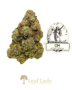 Ostara Medical - LIFE HACK 7G