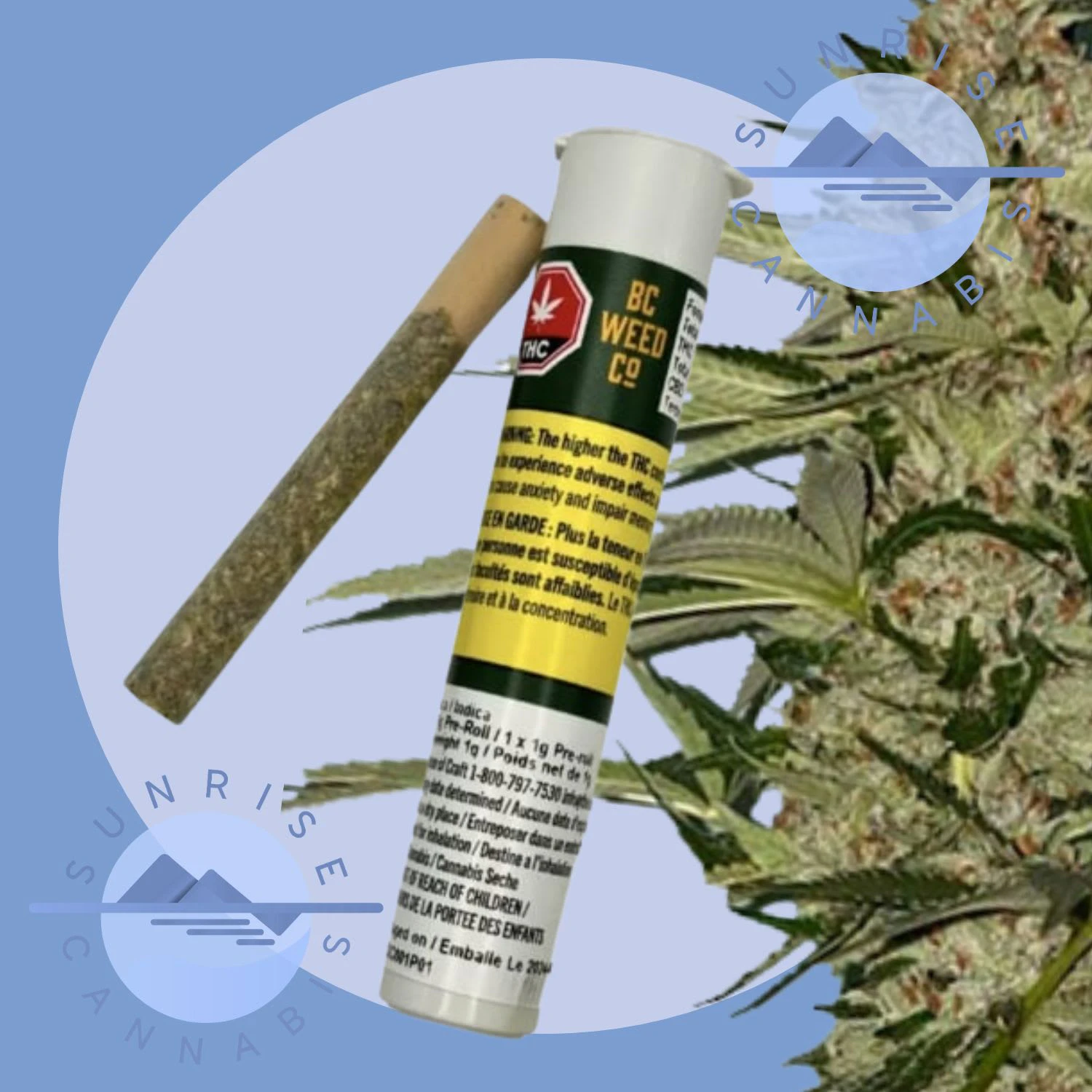BC Weed Co. - WEST COAST OG - BC WEED CO - 1X1G Main Image