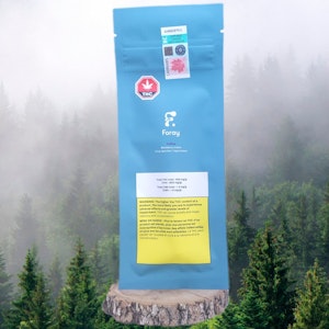 Foray - Foray | INDICA BLACKBERRY CREAM ALL-IN-ONE VAPE | 0.3g