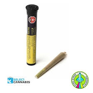 Open Fields - Space Race Cannabis - Starship  - 1 x1g