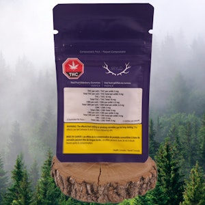 Wyld - WYLD | RL FRT ELDERBERRY CBN GUMMIES | 2 X 4g