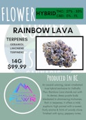 14G - VALHALLA FLWR - RAINBOW LAVA