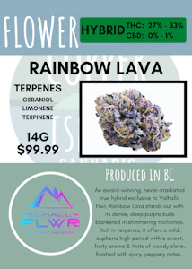 VALHALLA FLWR - 14G - VALHALLA FLWR - RAINBOW LAVA