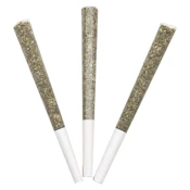 Royal Ace #3: Hindu Glue Pre-Roll 14x0.5g Pre-Rolls