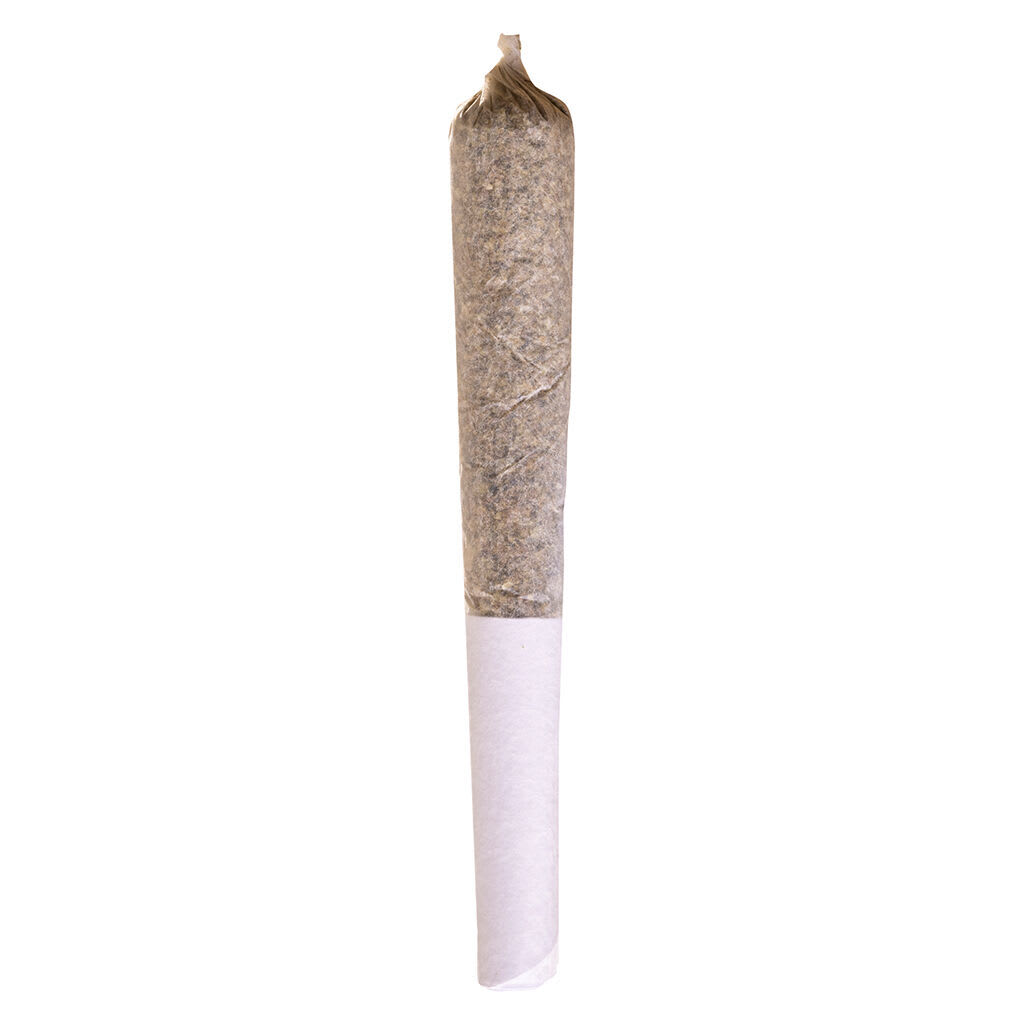 Beaver Tail Pre-Roll 1x0.5g