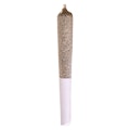 Beaver Tail Pre-Roll 1x0.5g Pre-Rolls
