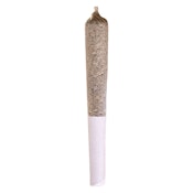 Beaver Tail Pre-Roll 1x0.5g Pre-Rolls