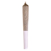 Beaver Tail Pre-Roll 1x0.5g Pre-Rolls