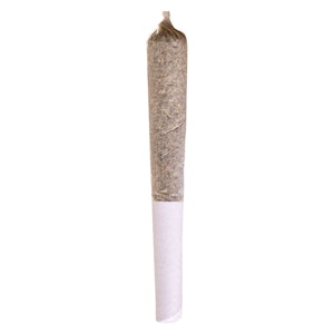 Potluck - Beaver Tail Pre-Roll 1x0.5g Pre-Rolls