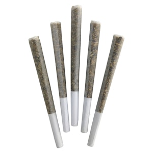 DEALR - Iced Zuchi (5 x 0.5g)
