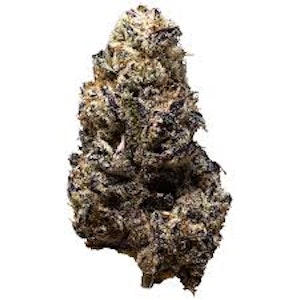3rd Coast Genetics - BLACK TRUFFLE
