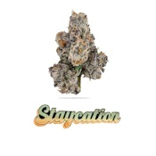 DREAMLINE 3.5G
