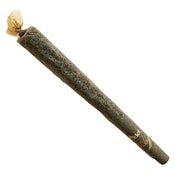 Apple Drip Infused - Indica - 1x1.3g