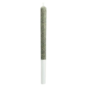 The Jeffrey Pre-Roll | 1x0.5g