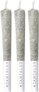 Tantalus - Tantalus - Pacific OG Pre-Rolls 3 x 0.5g | 1.5g