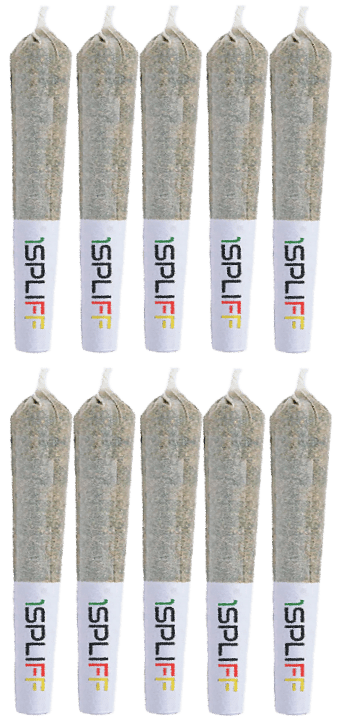 1Spliff - Biscotti Pre-Rolls 10x0.35g | 3.5g