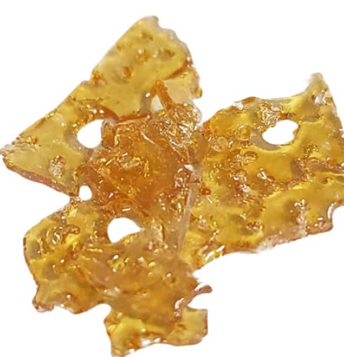 GRAPE ANIMAL SHATTER 2.0 - 1
