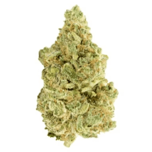 Versus - White Widow 28G