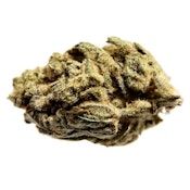Station House GG4 14G