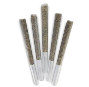 DEALR - DEALR | Alpine Glue Pre-Roll | 5 x 0.5 g