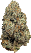 Tribal - Bubble Up | 3.5g