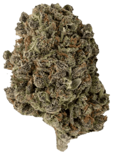 Antidote - Crones Nest Farms - Antidote - CNF Bruce Banner | 7g