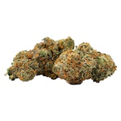 Buzz'd - Honey OG - 3.5g