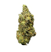 Forum Cut (GSC) - 7g