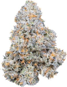 Strains - Strains - Brain Stain | 14g