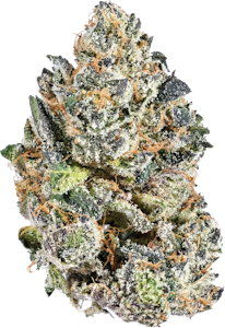 Nugz - Nugz - Rotating Indica | 14g
