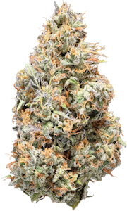 Nugz - Nugz - Rotating Sativa | 14g