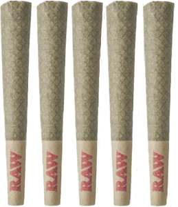 Tribal - Tribal - Neon Sunshine Pre-Rolls 5x0.6g | 3g