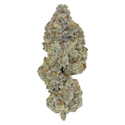 LSO Collection: Blueberry Vendetta 7g Dried Flower