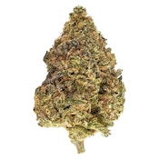 Strawberry Cheezequake 7g Dried Flower