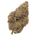Chatty Kathy 3.5g Dried Flower